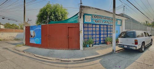 Embalsamadora Mitlanzin