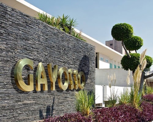 Gayosso Félix Cuevas
